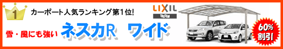 カーポート人気ランキング第一位ネスカRワイド