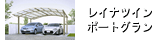 レイナツインポートグラン基本